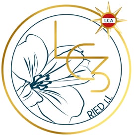 Logo LC3_FINAL_PIN